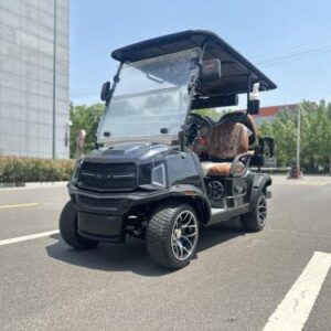 GO UP 2+2-Seater Electric Golf Cart Recreational Vehicle (Gray)