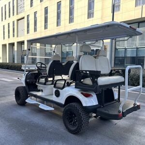 GO UP Electric Golf cart Discounted Items 4+2