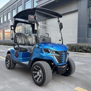 GO UP 2seats Golf cart Sightseeing and Leisure Vehicle