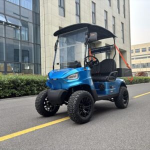 GO UP 2-Seater Electric Golf cart, 2026 Model