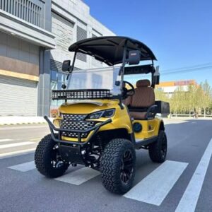 GO UP 2 Seats Cargo Van Golf Cart (Yellow)