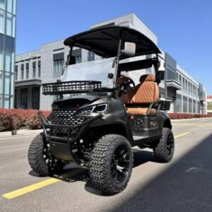 GO UP 2Seats Golf cart Stylish and Lightweight