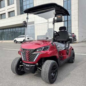 GO UP Electric Golf Cart with Insulated Cooler
