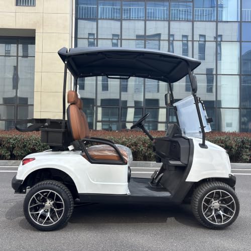 GO UP new 2-Seater Electric Golf cart, Equipped with 48V Lithium Battery, Suitable for Transporting Golf Bags on the Course. - Image 3