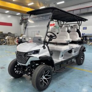 GO UP Electric Golf cart 4+2seats White